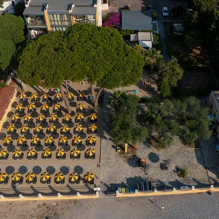Blumare Apartament